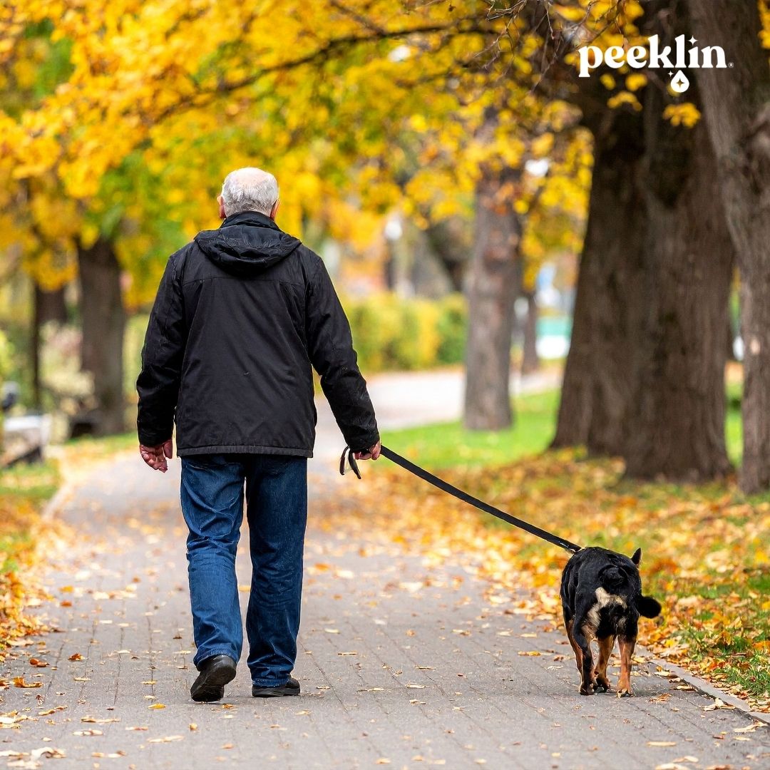 Ordenanza municipal sobre la limpieza de orines de perro